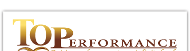 Top Performance Corporation